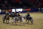 Quadrille - 00722